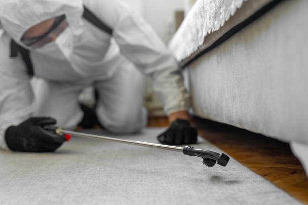 Professional Termite Control technician working in Amityville, NY