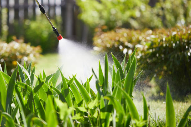 24/7 Emergency Termite Control experts in Amityville, NY