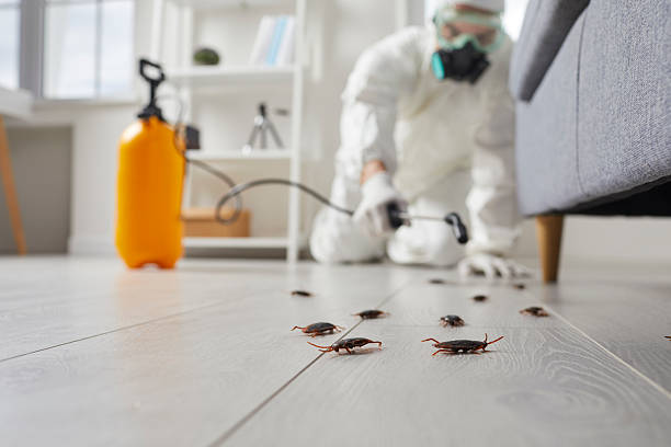 Trusted Cockroach Control service in Amityville, NY - Nex Pest Control