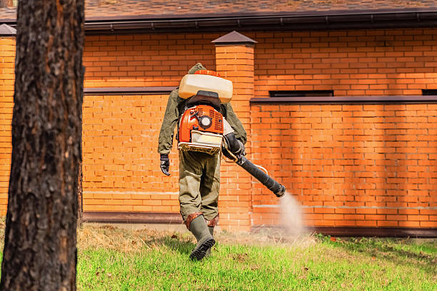 Trusted Rodent Control service in Amityville, NY - Nex Pest Control
